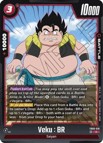 Veku : BR - FB09-016 - Dual Evolution