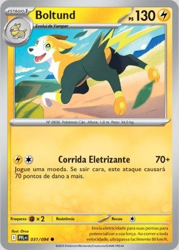 Boltund 031/094
