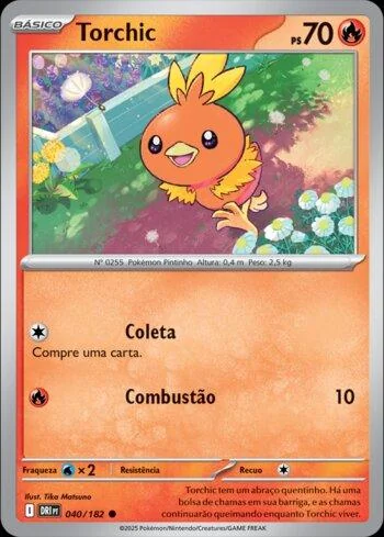 Torchic 040/182