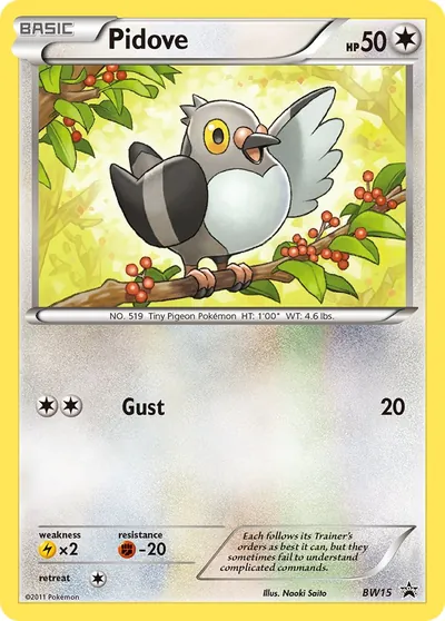 Pidove - Black & White Promos - ilustração de Yuka Morii
