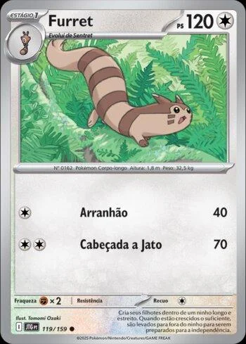 Furret 119/159