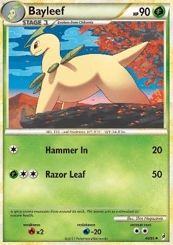 Bayleef 40/95