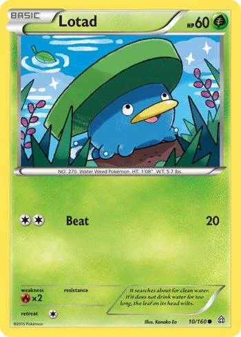 Lotad 10/160