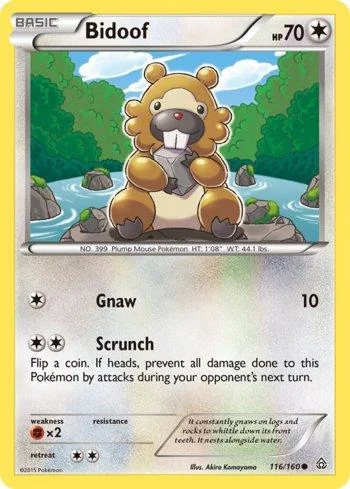 Bidoof 116/160
