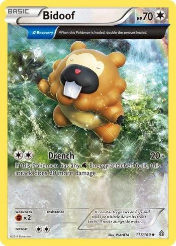 Bidoof 117/160
