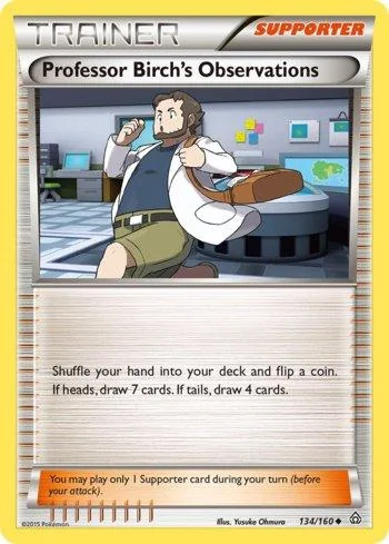 Observações do Professor Birch 134/160