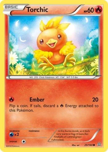 Torchic 25/160