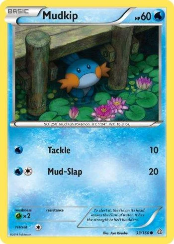 Mudkip 33/160