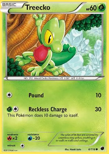 Treecko 6/116