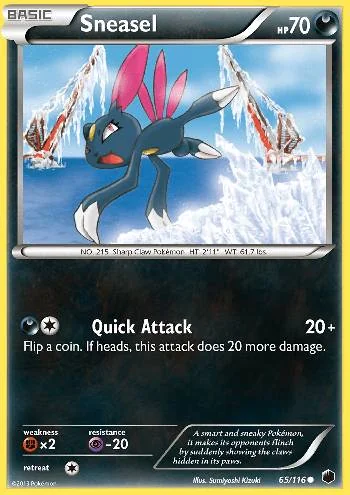 Sneasel 65/116