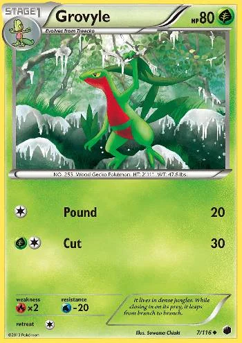 Grovyle 7/116