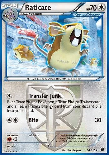 Raticate 88/116