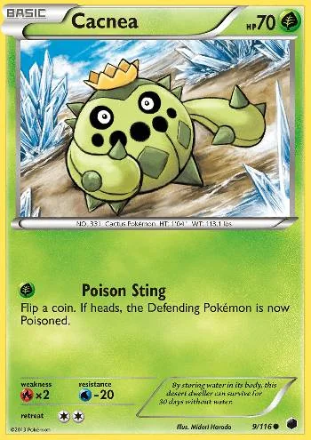 Cacnea 9/116