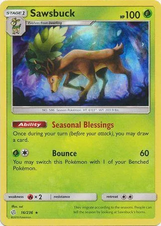 Sawsbuck 16/236