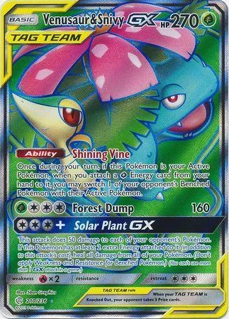 Venusaur e Snivy-GX 210/236