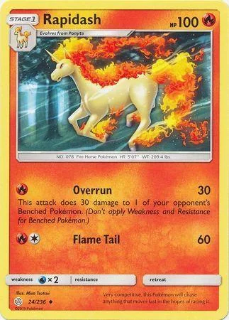 Rapidash 24/236