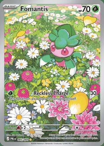 Fomantis 085/084