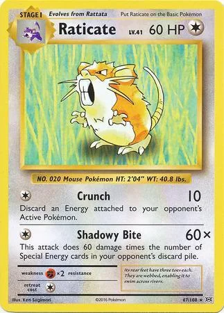 Raticate 67/108