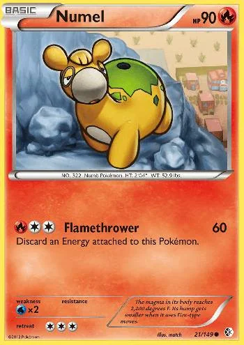 Numel 21/149