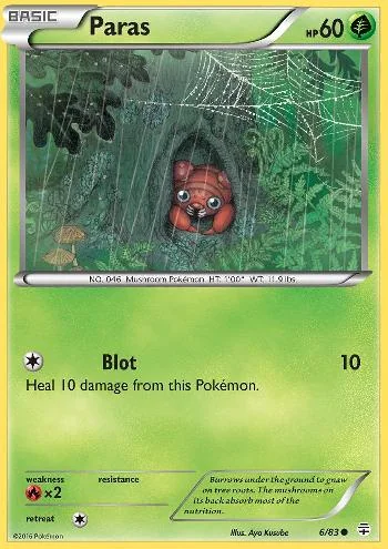 Paras 6/83