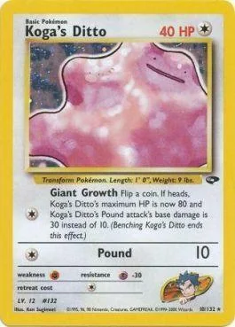 Ditto do Koga 10/132