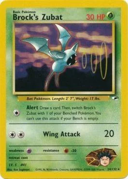 Zubat do Brock 24/132