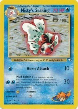 Seaking da Misty 55/132