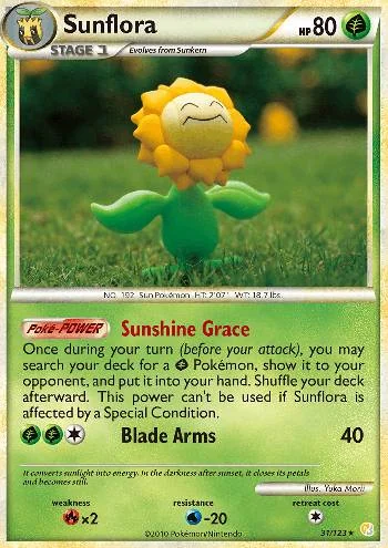 Sunflora 31/123