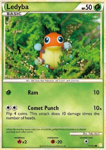 Ledyba 71/123