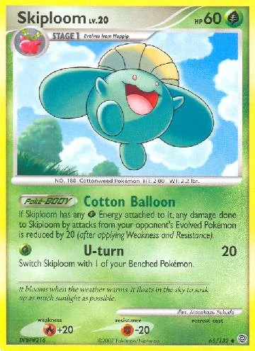 Skiploom 65/132
