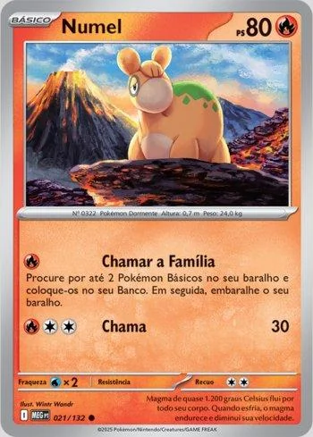 Numel 021/132