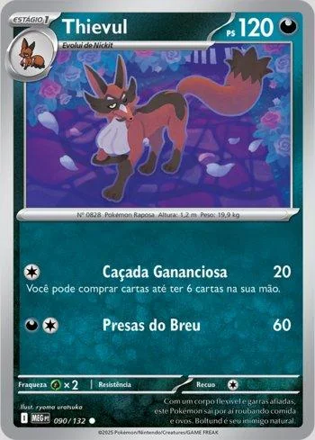 Thievul 090/132