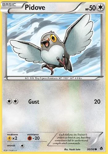 Pidove 80/98