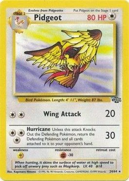 Pidgeot 24/64