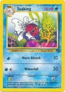 Seaking 46/64