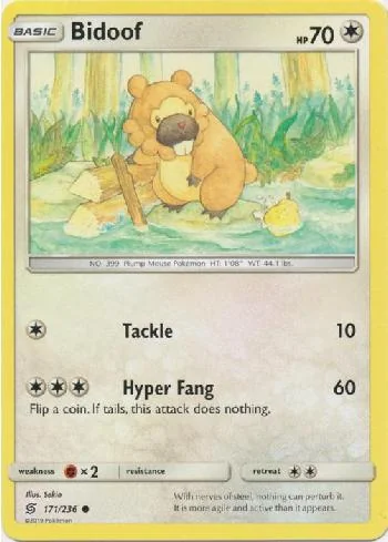 Bidoof 171/236