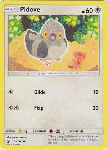 Pidove 174/236