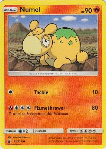 Numel 23/236