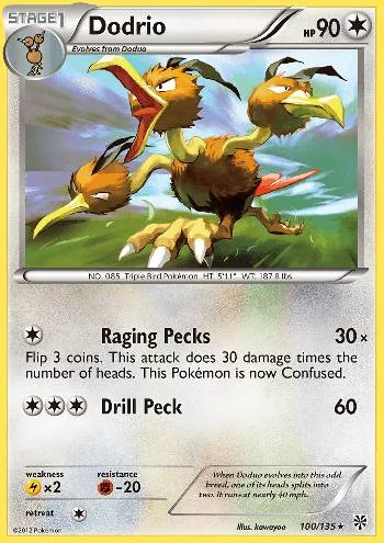 Dodrio 100/135
