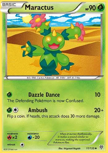 Maractus 11/135