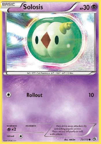 Solosis 73/113
