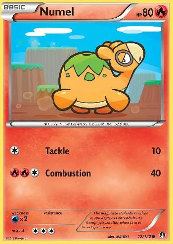 Numel 12/122
