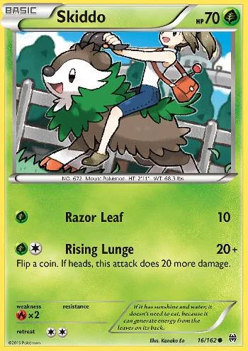 Skiddo 16/162