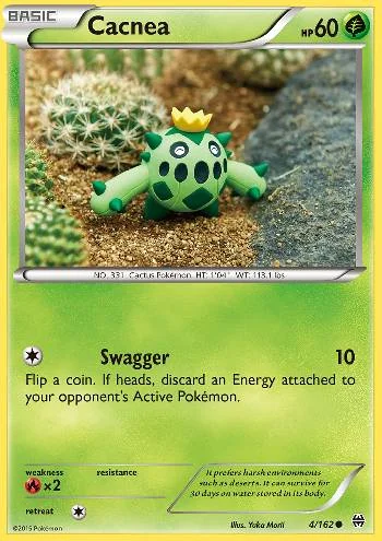 Cacnea 4/162