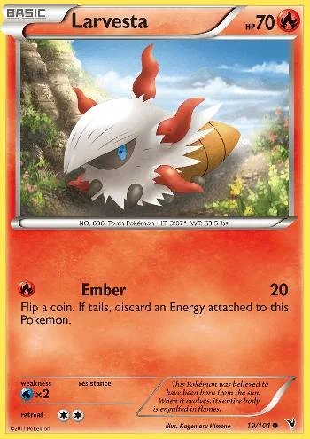 Larvesta 19/101