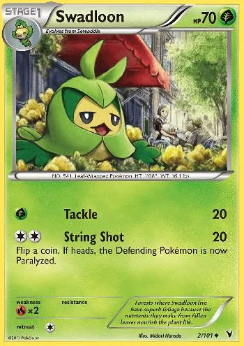 Swadloon 2/101