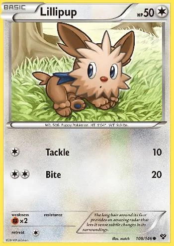 Lillipup 108/146