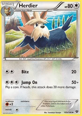 Herdier 109/146