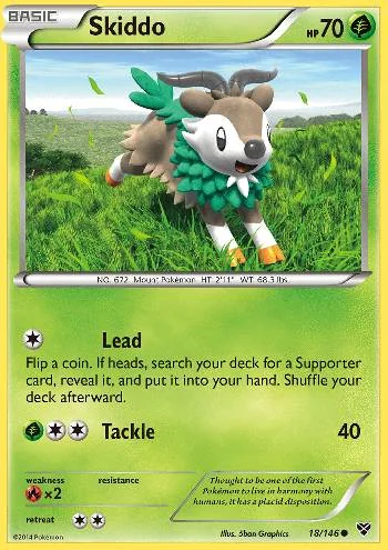 Skiddo 18/146
