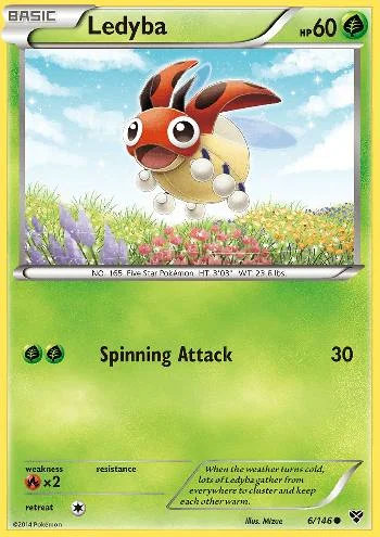 Ledyba 6/146